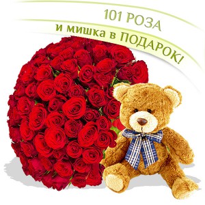 101 роза + Мишка в подарок